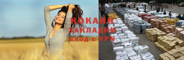 крисы Михайловка