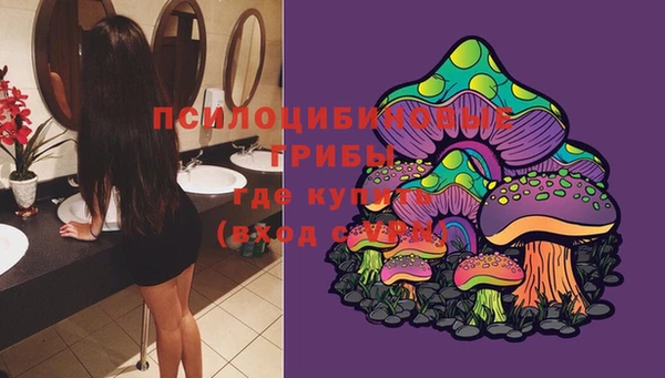 крисы Михайловка