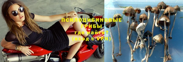крисы Михайловка