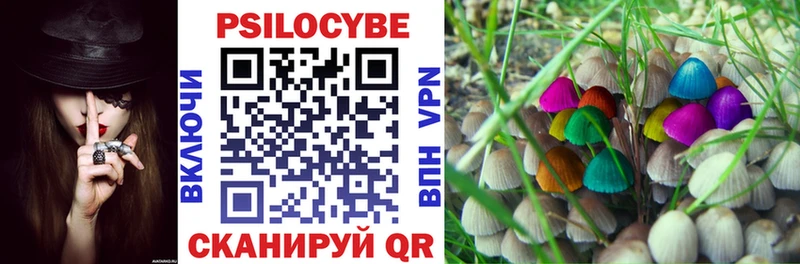 Псилоцибиновые грибы GOLDEN TEACHER  Уржум 